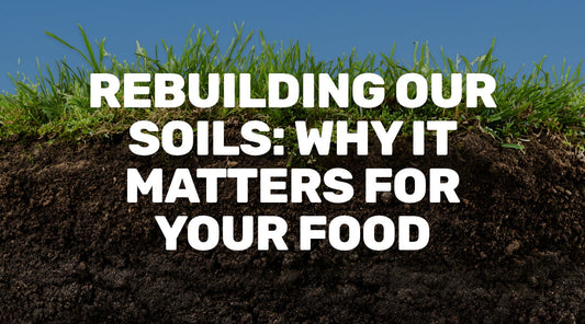 Rebuilding Our Soils: Why It Matters for Your Food