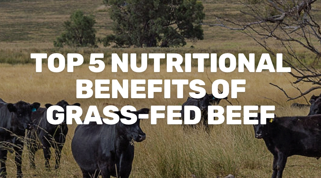 Native Beef Top 5 Nutritional Benefits of Grass-Fed Beef – Native Angus Beef Shop