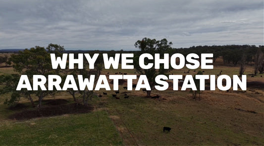 Why We Chose Arrawatta Station
