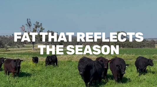 Fat That Reflects the Season