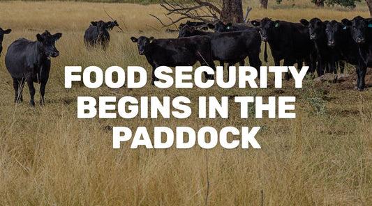 Food Security Begins in the Paddock