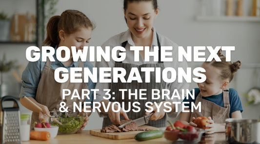 Growing the Next Generations (Part 3): The Brain and Nervous System