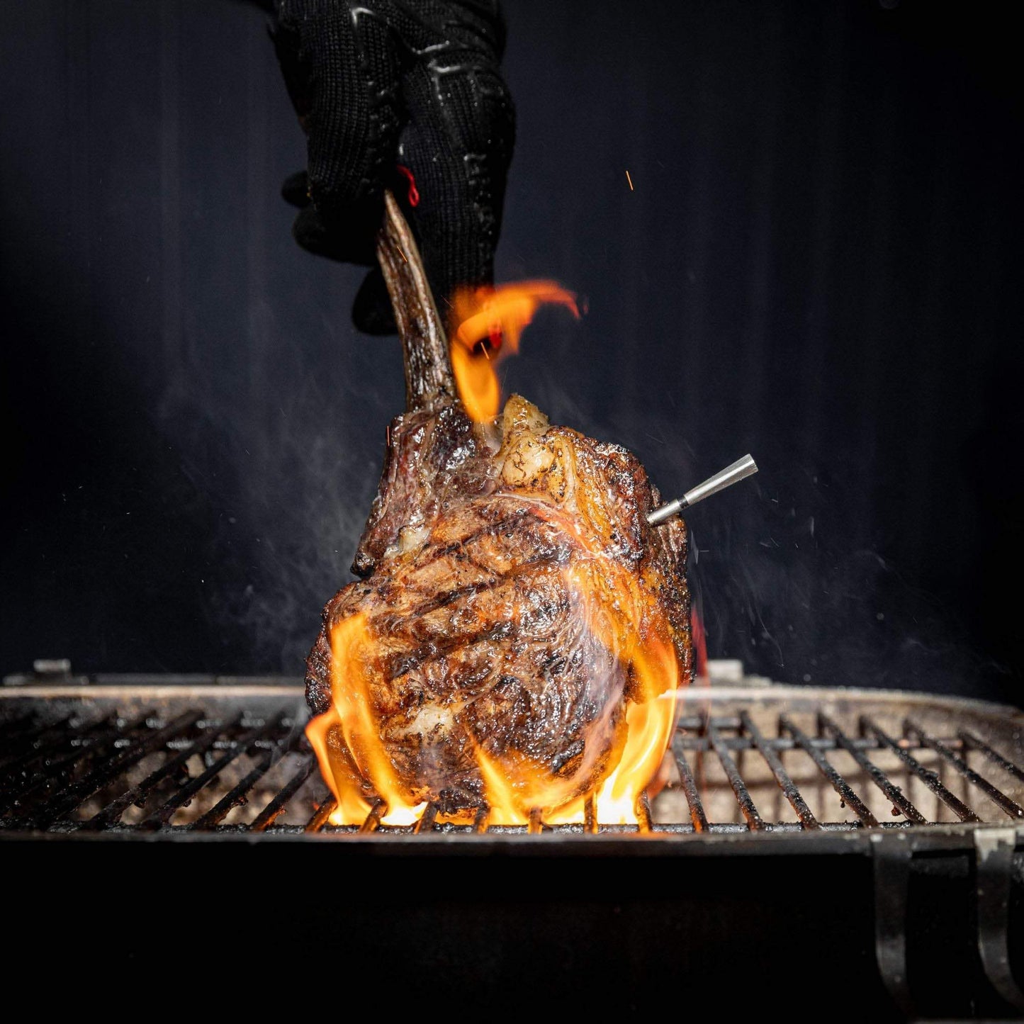 Meater Pro - Wireless Meat Thermometer